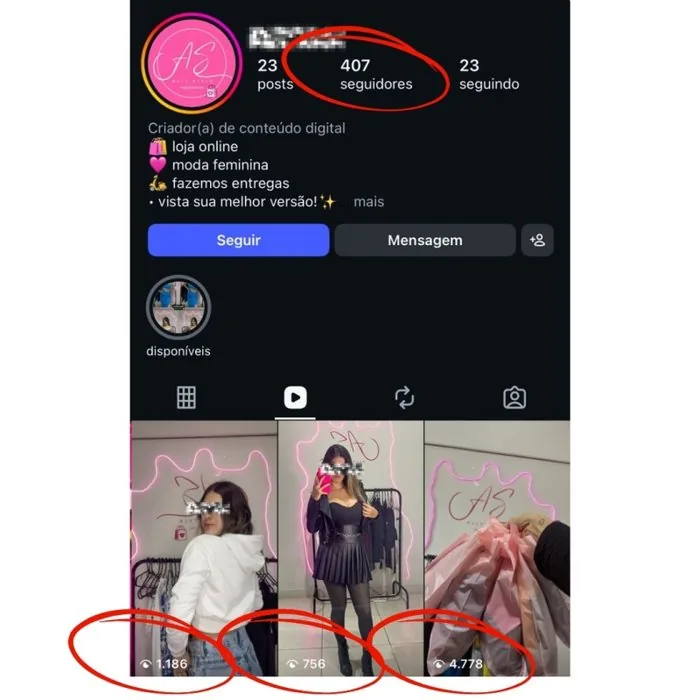 Perfil de loja online com 407 seguidores e poucas visualizações